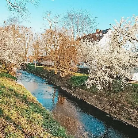 Apartment Creek House